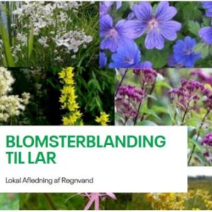 Køb Blomsterblanding til LAR 250 gram pose online billigt tilbud rabat have