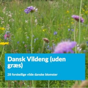 Køb Dansk Vildeng (uden græs) 1 kg. pose online billigt tilbud rabat have