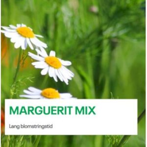 Køb Marguerit Mix 1 kg. pose online billigt tilbud rabat have