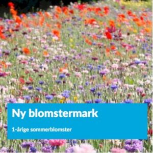 Køb Ny blomstermark blanding 1 kg. pose online billigt tilbud rabat have
