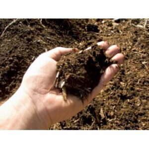 Køb Plantemuld m. kompost fra Champost Big-bag 900 liter online billigt tilbud rabat have