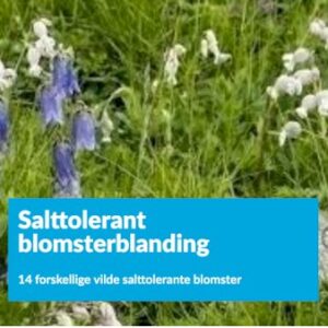 Køb Salttolerant blomsterblanding 1 kg. pose online billigt tilbud rabat have
