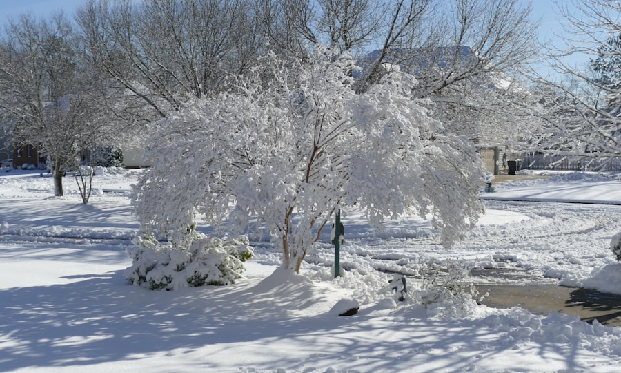 winter garden prep