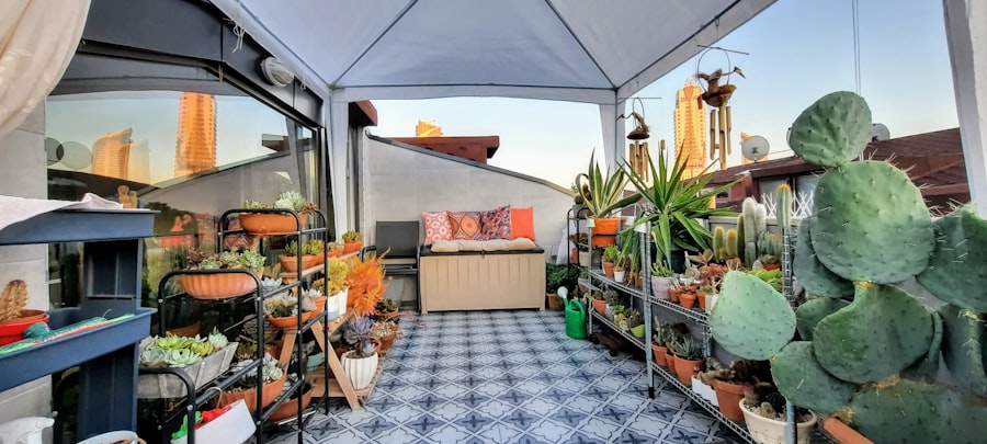 kitchen garden for beginners