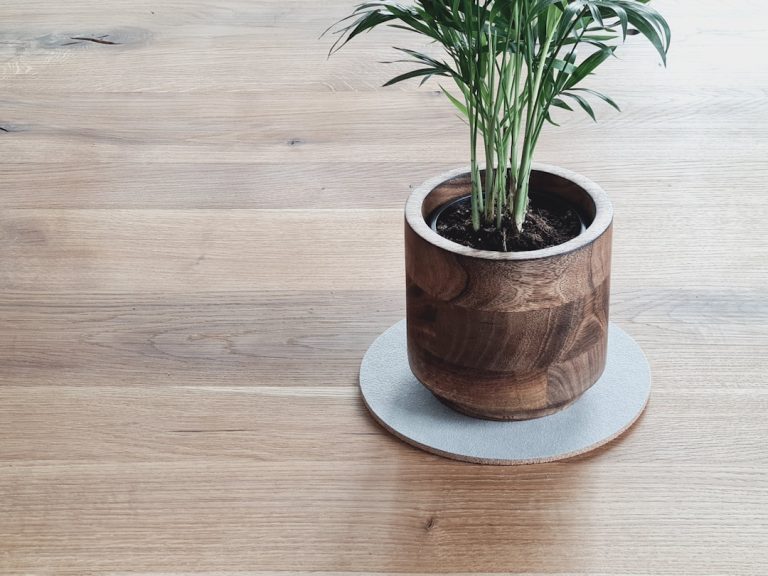 Planter der trives i krukker og altankasser