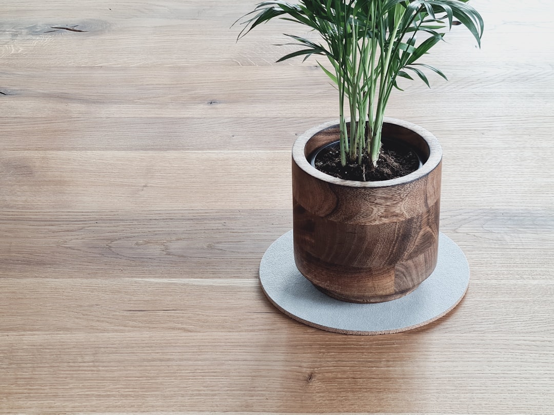 Photo Planter