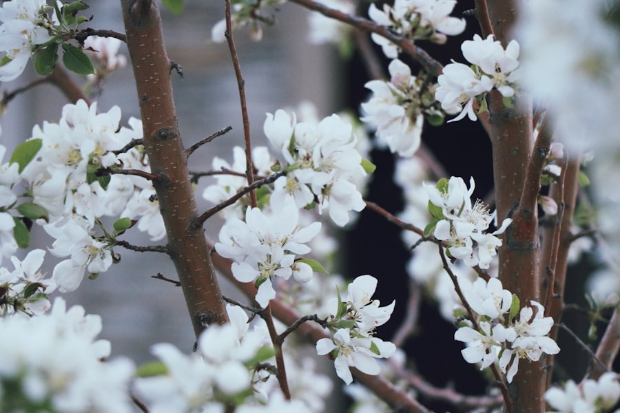 Photo pruning