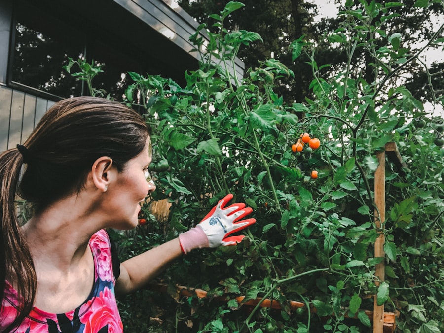 Kitchen Garden
